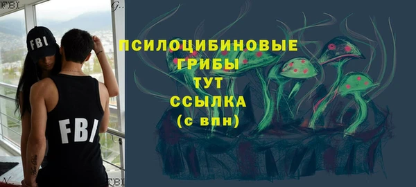 трава Аркадак